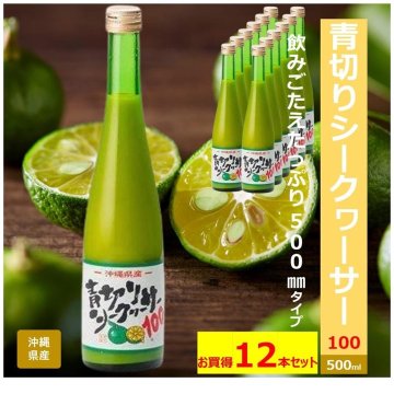 青切りシークヮーサー100  500ml 12本セットの画像