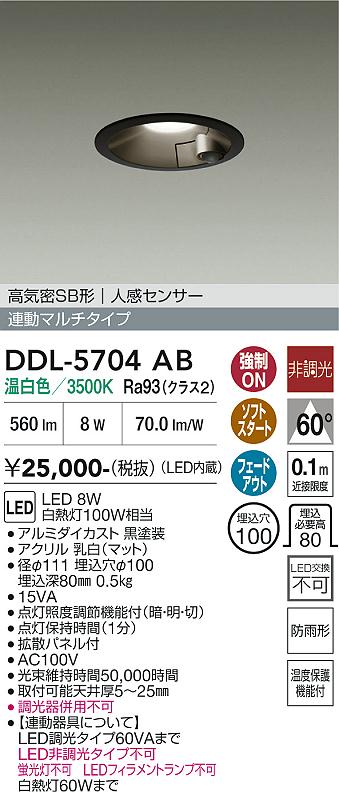 安心のメーカー保証【インボイス対応店】DDL5704AB ダイコー 屋外灯 ダウンライト LED 大光電機の画像