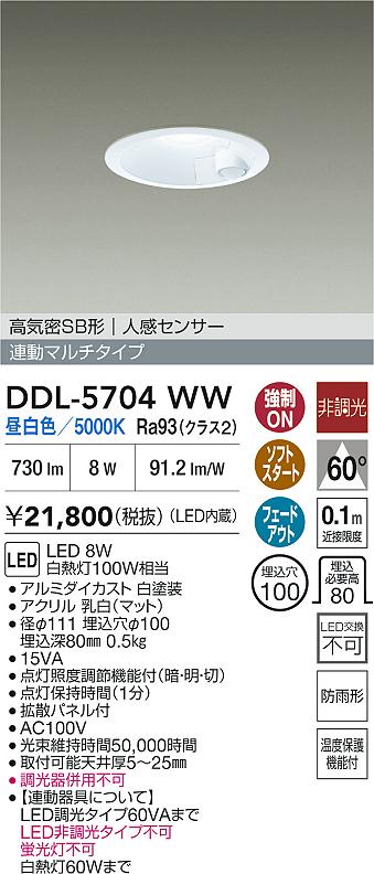 安心のメーカー保証【インボイス対応店】DDL5704WW ダイコー 屋外灯 ダウンライト LED 大光電機の画像