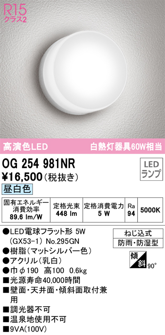 安心のメーカー保証【インボイス対応店】OG254981NR （ランプ別梱包）『OG254981#＋NO295GN』 オーデリック ポーチライト 軒下使用可 LED  Ｎ区分の画像