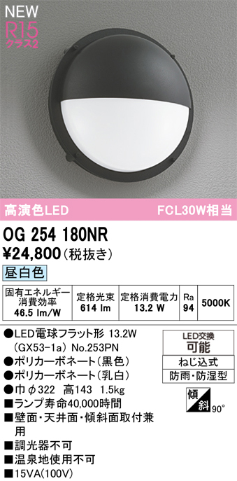 安心のメーカー保証 【インボイス対応店】OG254180NR （ランプ別梱包）『OG254180#＋NO253PN』 オーデリック ポーチライト LED  Ｔ区分の画像