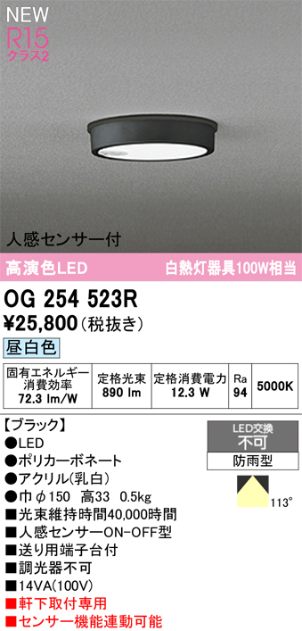 安心のメーカー保証 期間限定特価【インボイス対応店】OG254523R オーデリック 屋外灯 軒下灯 LED  Ｎ区分の画像