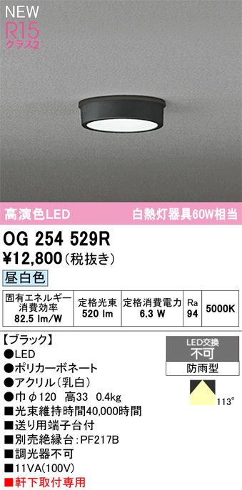 安心のメーカー保証 期間限定特価【インボイス対応店】OG254529R オーデリック 屋外灯 軒下灯 LED  Ｈ区分の画像