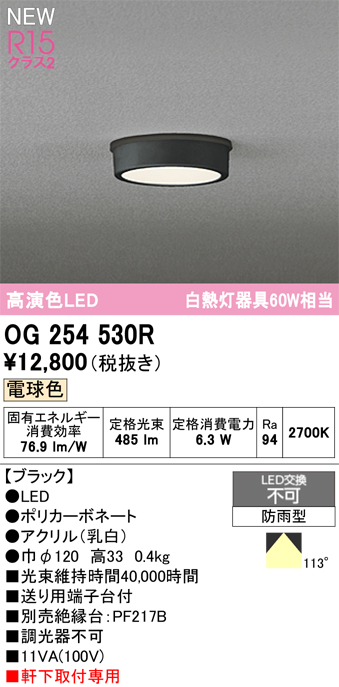 安心のメーカー保証 期間限定特価【インボイス対応店】OG254530R オーデリック 屋外灯 軒下灯 LED  Ｈ区分の画像