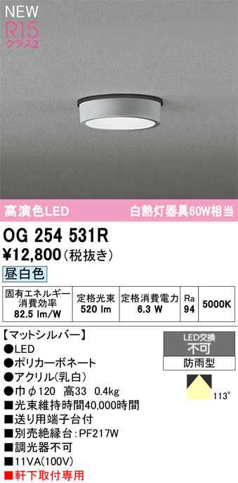 安心のメーカー保証 期間限定特価【インボイス対応店】OG254531R オーデリック 屋外灯 軒下灯 LED  Ｈ区分の画像