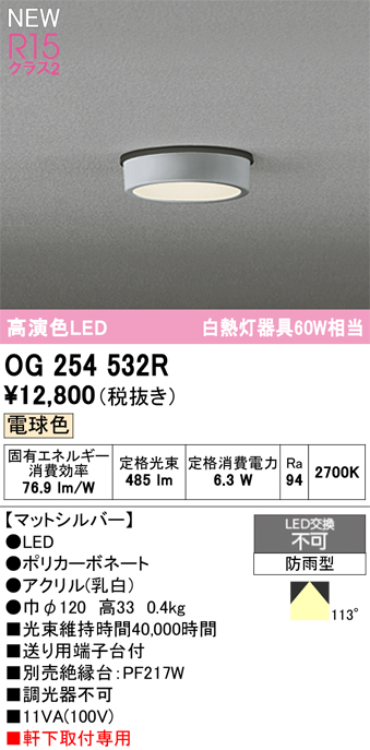 安心のメーカー保証 期間限定特価【インボイス対応店】OG254532R オーデリック 屋外灯 軒下灯 LED  Ｈ区分の画像