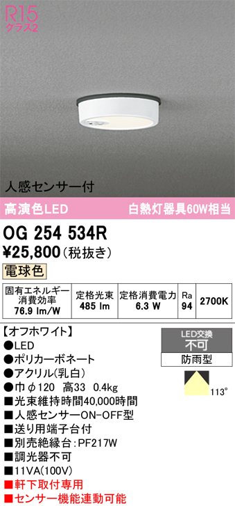 安心のメーカー保証 期間限定特価【インボイス対応店】OG254534R オーデリック 屋外灯 軒下灯 LED  Ｈ区分の画像
