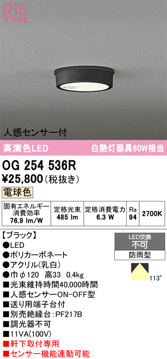 安心のメーカー保証 期間限定特価【インボイス対応店】OG254536R オーデリック 屋外灯 軒下灯 LED  Ｈ区分の画像