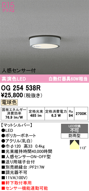 安心のメーカー保証 期間限定特価【インボイス対応店】OG254538R オーデリック 屋外灯 軒下灯 LED  Ｈ区分の画像