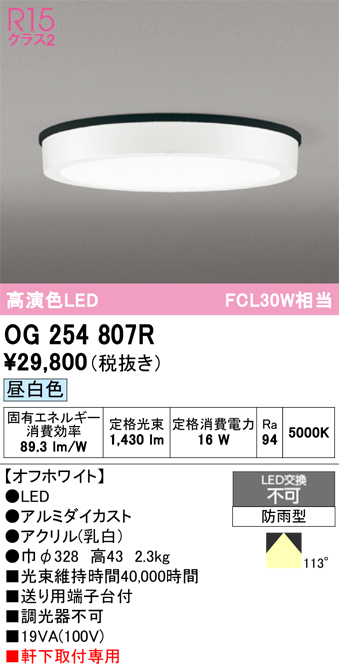 安心のメーカー保証 【インボイス対応店】OG254807R オーデリック 屋外灯 軒下灯 LED  Ｔ区分の画像