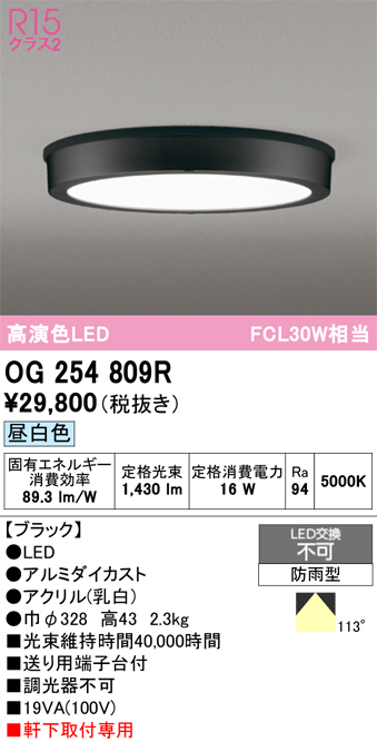 安心のメーカー保証 【インボイス対応店】OG254809R オーデリック 屋外灯 軒下灯 LED  Ｔ区分の画像