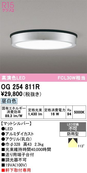 安心のメーカー保証 【インボイス対応店】OG254811R オーデリック 屋外灯 軒下灯 LED  Ｔ区分の画像
