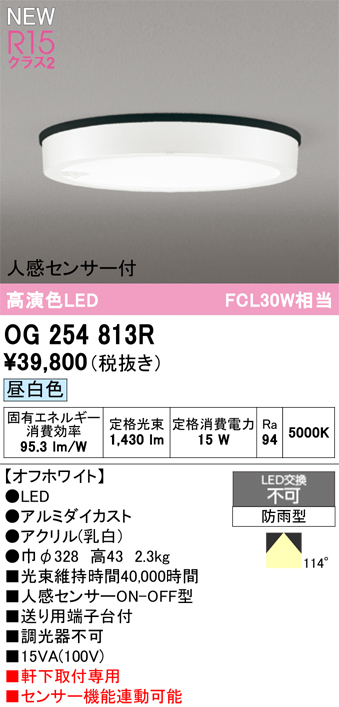 安心のメーカー保証 【インボイス対応店】OG254813R オーデリック 屋外灯 軒下灯 LED  Ｔ区分の画像