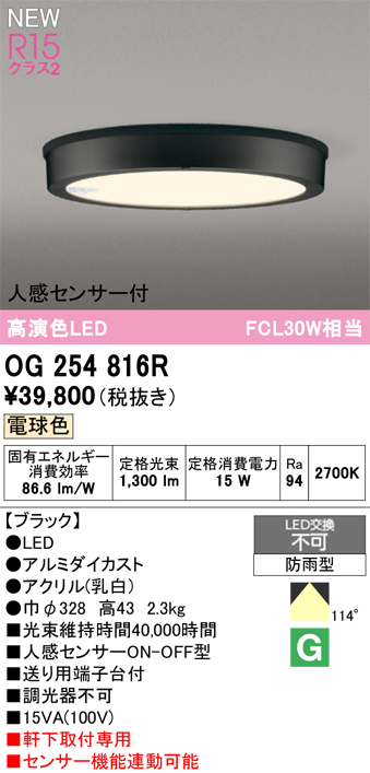安心のメーカー保証 【インボイス対応店】OG254816R オーデリック 屋外灯 軒下灯 LED  Ｔ区分の画像