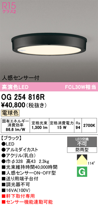 安心のメーカー保証 【インボイス対応店】OG254816R オーデリック 屋外灯 軒下灯 LED  Ｔ区分の画像