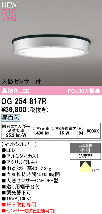 安心のメーカー保証 【インボイス対応店】OG254817R オーデリック 屋外灯 軒下灯 LED  Ｔ区分の画像