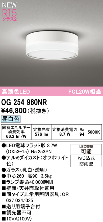 安心のメーカー保証 【インボイス対応店】OG254960NR （ランプ別梱包）『OG254960#＋NO253SN』 オーデリック 屋外灯 軒下灯 LED  Ｔ区分の画像