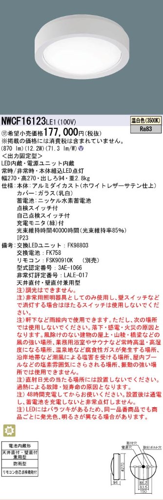 安心のメーカー保証【インボイス対応店】NWCF16123LE1 パナソニック 屋外灯 非常灯 LED リモコン別売  受注生産品  Ｎ区分の画像