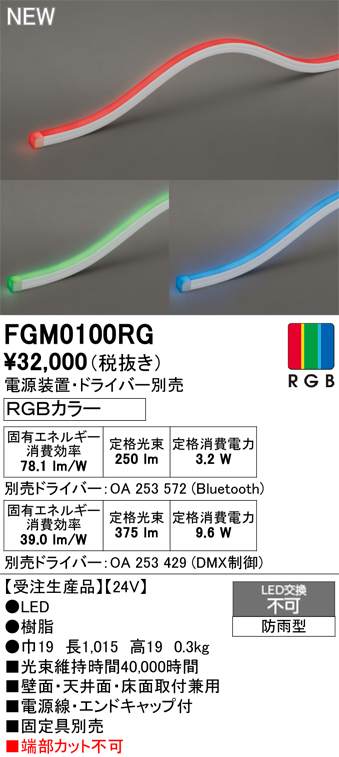 安心のメーカー保証 【インボイス対応店】FGM0100RG （専用電源・ドライバー別売） オーデリック 屋外灯 間接照明 LED  受注生産品  Ｔ区分の画像
