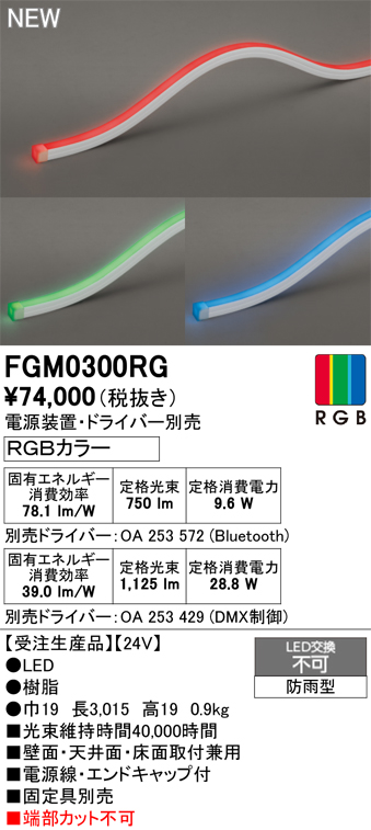 安心のメーカー保証 【インボイス対応店】FGM0300RG （専用電源・ドライバー別売） オーデリック 屋外灯 間接照明 LED  受注生産品  Ｔ区分の画像
