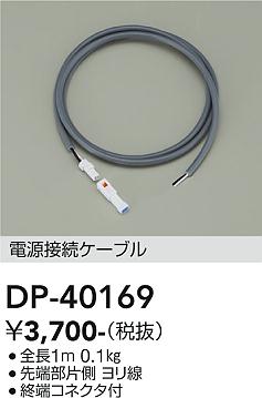 安心のメーカー保証【インボイス対応店】DP-40169 ダイコー 屋外灯 その他屋外灯 ケーブル 大光電機の画像