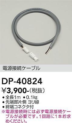 安心のメーカー保証【インボイス対応店】DP40824 ダイコー 屋外灯 その他屋外灯 電源接続ケーブル 大光電機の画像
