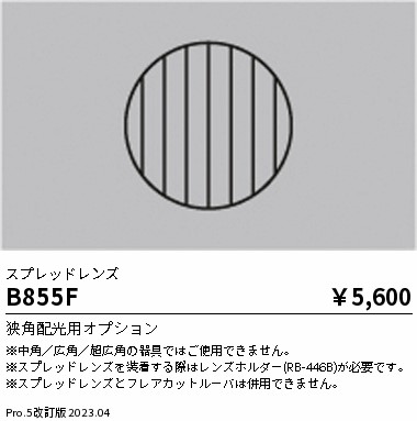 安心のメーカー保証【インボイス対応店】B855F 遠藤照明 オプション  Ｎ区分 Ｎ発送の画像