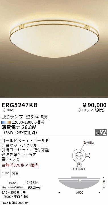 安心のメーカー保証【インボイス対応店】ERG5247KB 遠藤照明 シーリングライト LED ランプ別売 Ｎ区分 メーカー直送の画像