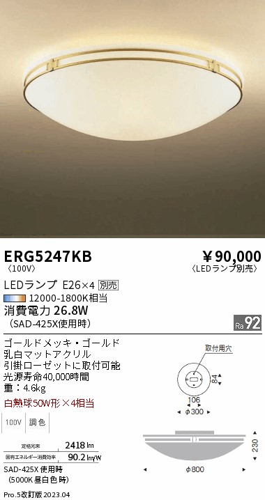 安心のメーカー保証【インボイス対応店】ERG5247KB 遠藤照明 シーリングライト LED ランプ別売 Ｎ区分の画像