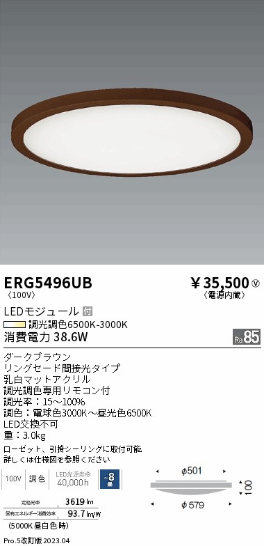 安心のメーカー保証【インボイス対応店】ERG5496UB 遠藤照明 シーリングライト LED リモコン付  Ｎ区分 Ｎ発送の画像