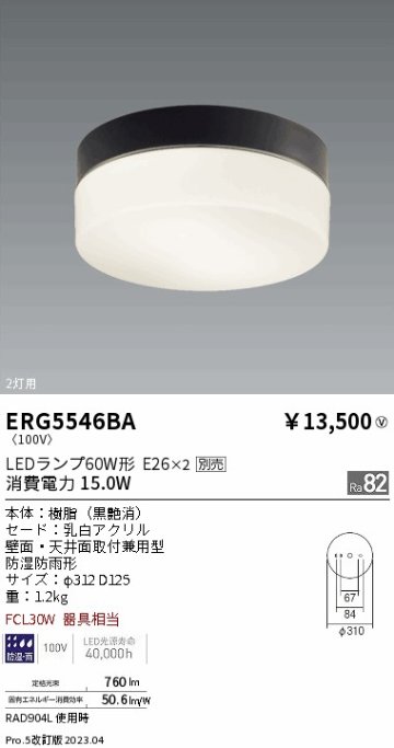 安心のメーカー保証【インボイス対応店】ERG5546BA 遠藤照明 屋外灯 アウトドアブラケット LED ランプ別売 Ｎ区分の画像