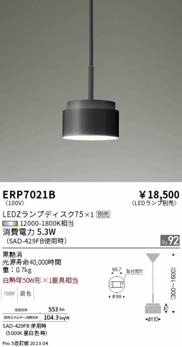 安心のメーカー保証【インボイス対応店】ERP7021B 遠藤照明 ペンダント LED ランプ別売 Ｎ区分 Ｎ発送の画像