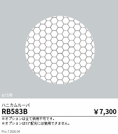 安心のメーカー保証【インボイス対応店】RB583B 遠藤照明 ダウンライト オプション  Ｎ区分 Ｎ発送の画像