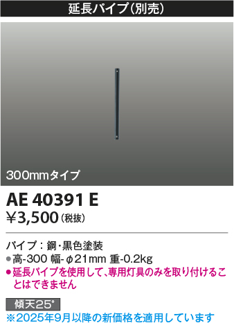 安心のメーカー保証【インボイス対応店】AE40391E コイズミ シーリングファン パイプのみ  Ｔ区分の画像