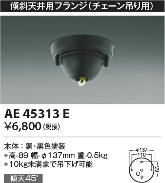 安心のメーカー保証【インボイス対応店】AE45313E コイズミ オプション  Ｔ区分の画像