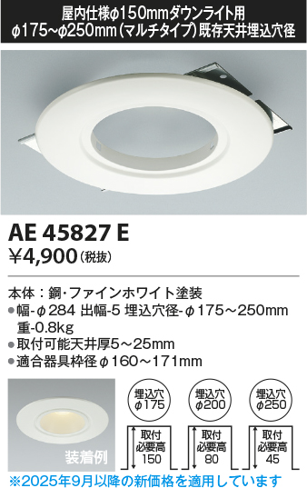 期間限定特価 安心のメーカー保証【インボイス対応店】AE45827E コイズミ ダウンライト オプション  Ｈ区分の画像