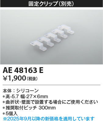 安心のメーカー保証【インボイス対応店】AE48163E コイズミ オプション  Ｔ区分の画像