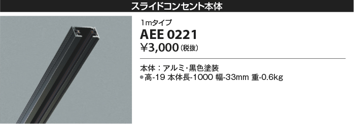 安心のメーカー保証【インボイス対応店】AEE0221 コイズミ 配線ダクトレール レールのみ  Ｔ区分の画像