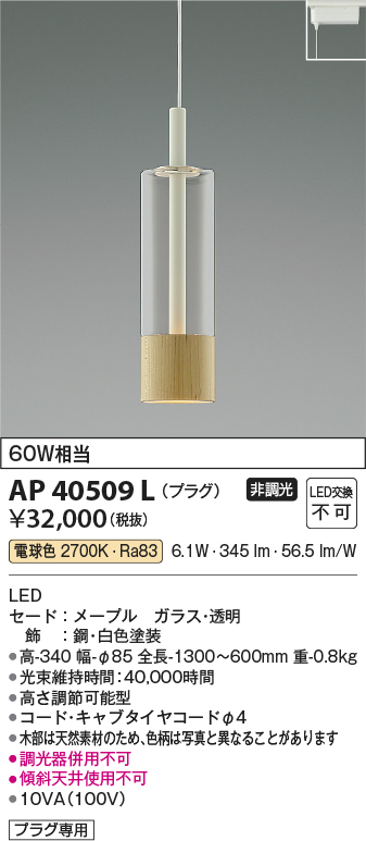 安心のメーカー保証【インボイス対応店】AP40509L コイズミ ペンダント 配線ダクト用 LED  Ｔ区分の画像