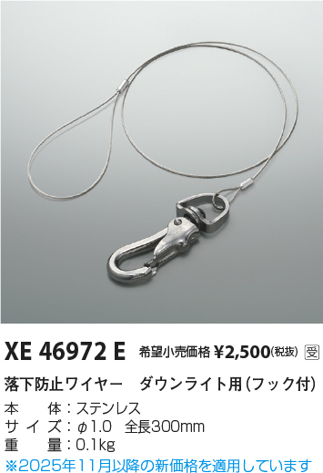安心のメーカー保証【インボイス対応店】XE46972E コイズミ ダウンライト オプション  受注生産品  Ｔ区分の画像