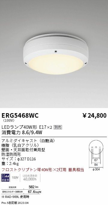 安心のメーカー保証【インボイス対応店】ERG5468WC 遠藤照明 ポーチライト LED ランプ別売 Ｎ区分の画像