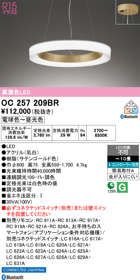 安心のメーカー保証 【インボイス対応店】OC257209BR オーデリック ペンダント LED リモコン別売  Ｎ区分の画像