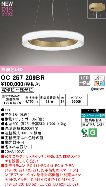 安心のメーカー保証【インボイス対応店】OC257209BR オーデリック ペンダント LED リモコン別売  Ｔ区分の画像