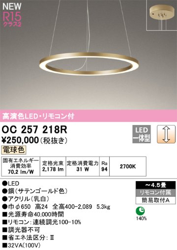 安心のメーカー保証【インボイス対応店】OC257218R オーデリック ペンダント LED リモコン付  Ｎ区分の画像