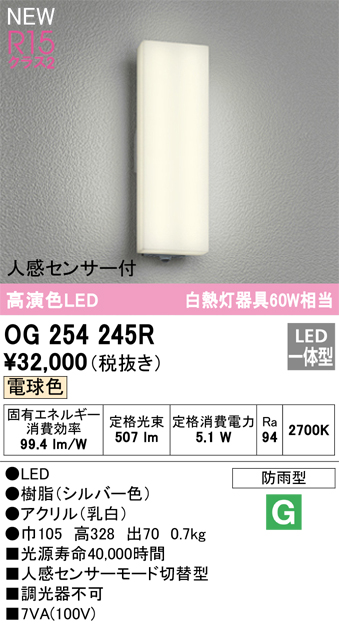 安心のメーカー保証【インボイス対応店】OG254245R オーデリック ポーチライト LED  Ｔ区分の画像