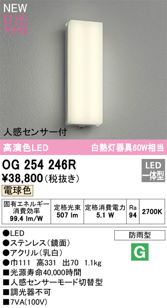 安心のメーカー保証【インボイス対応店】OG254246R オーデリック ポーチライト LED  Ｔ区分の画像