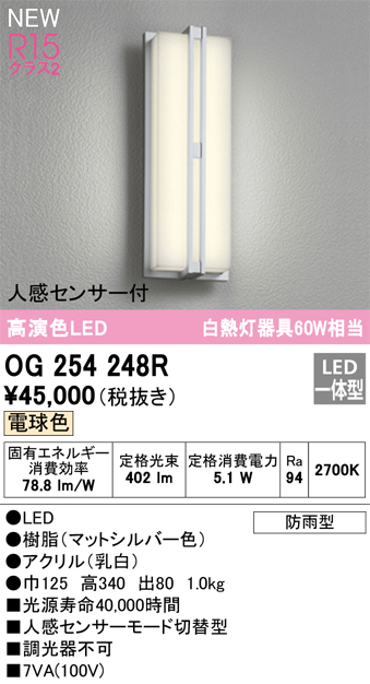 安心のメーカー保証【インボイス対応店】OG254248R オーデリック ポーチライト LED  Ｔ区分の画像