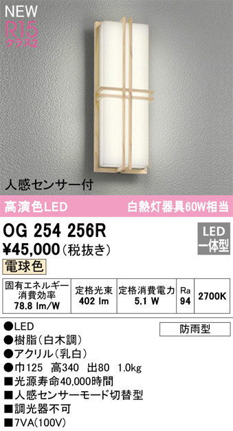 安心のメーカー保証【インボイス対応店】OG254256R オーデリック ポーチライト LED  Ｔ区分の画像