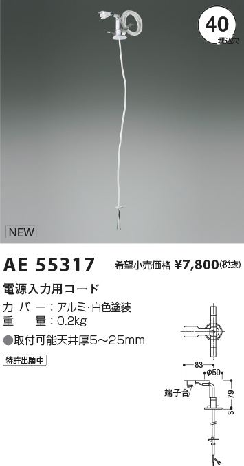 安心のメーカー保証【インボイス対応店】AE55317 コイズミ オプション 電源入力用コード  Ｔ区分の画像