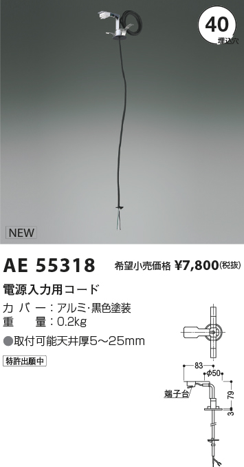 安心のメーカー保証【インボイス対応店】AE55318 コイズミ オプション 電源入力用コード  Ｔ区分の画像